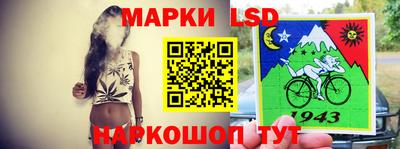 ECSTASY Славгород